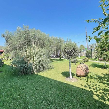 Apartments Alexandros Πολύχρονο Εξωτερικό φωτογραφία