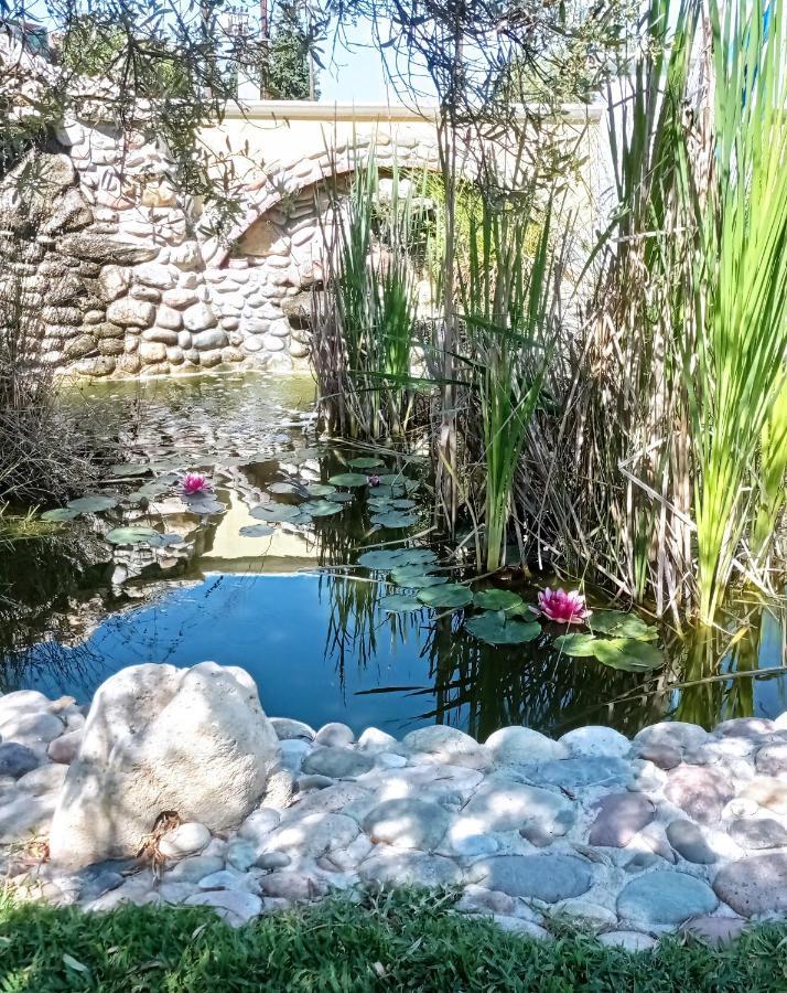 Apartments Alexandros Πολύχρονο Εξωτερικό φωτογραφία